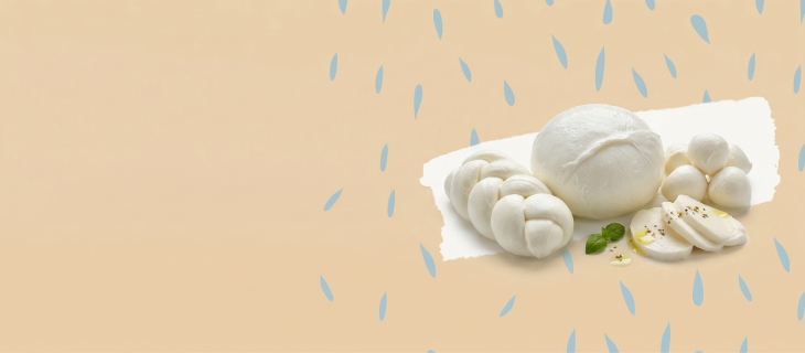 vg-promo-original-mozzarella-opt