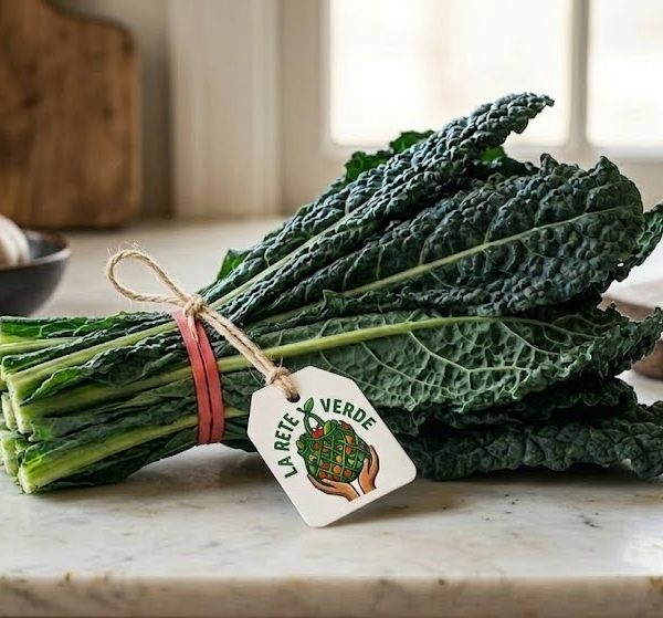 CAVOLO NERO