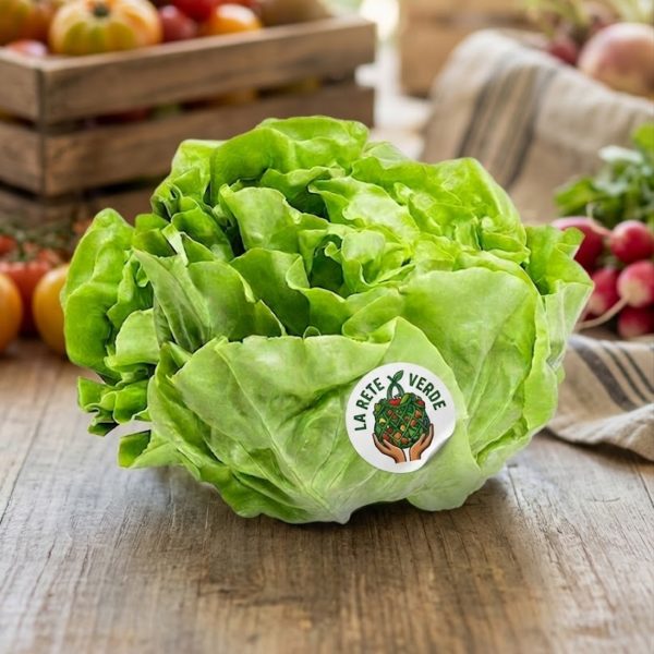 INSALATA CAPPUCCINA