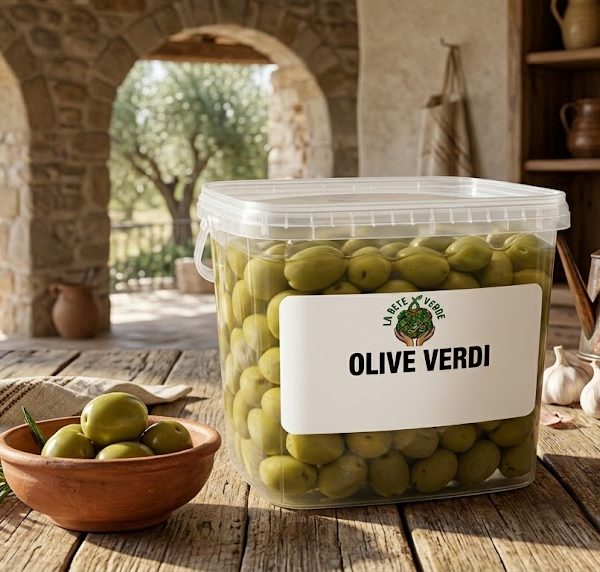 OLIVE VERDI