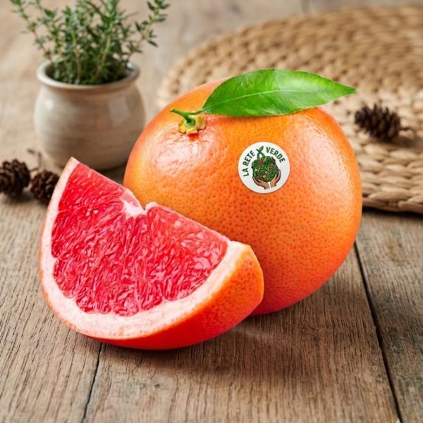 POMPELMI