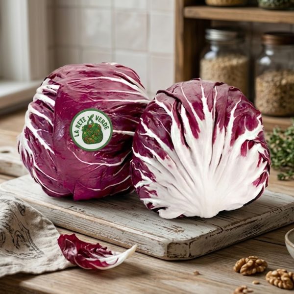RADICCHIO TONDO